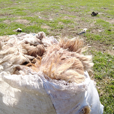 LANGYARNS Noble Nomads geschorenes Kamelfell